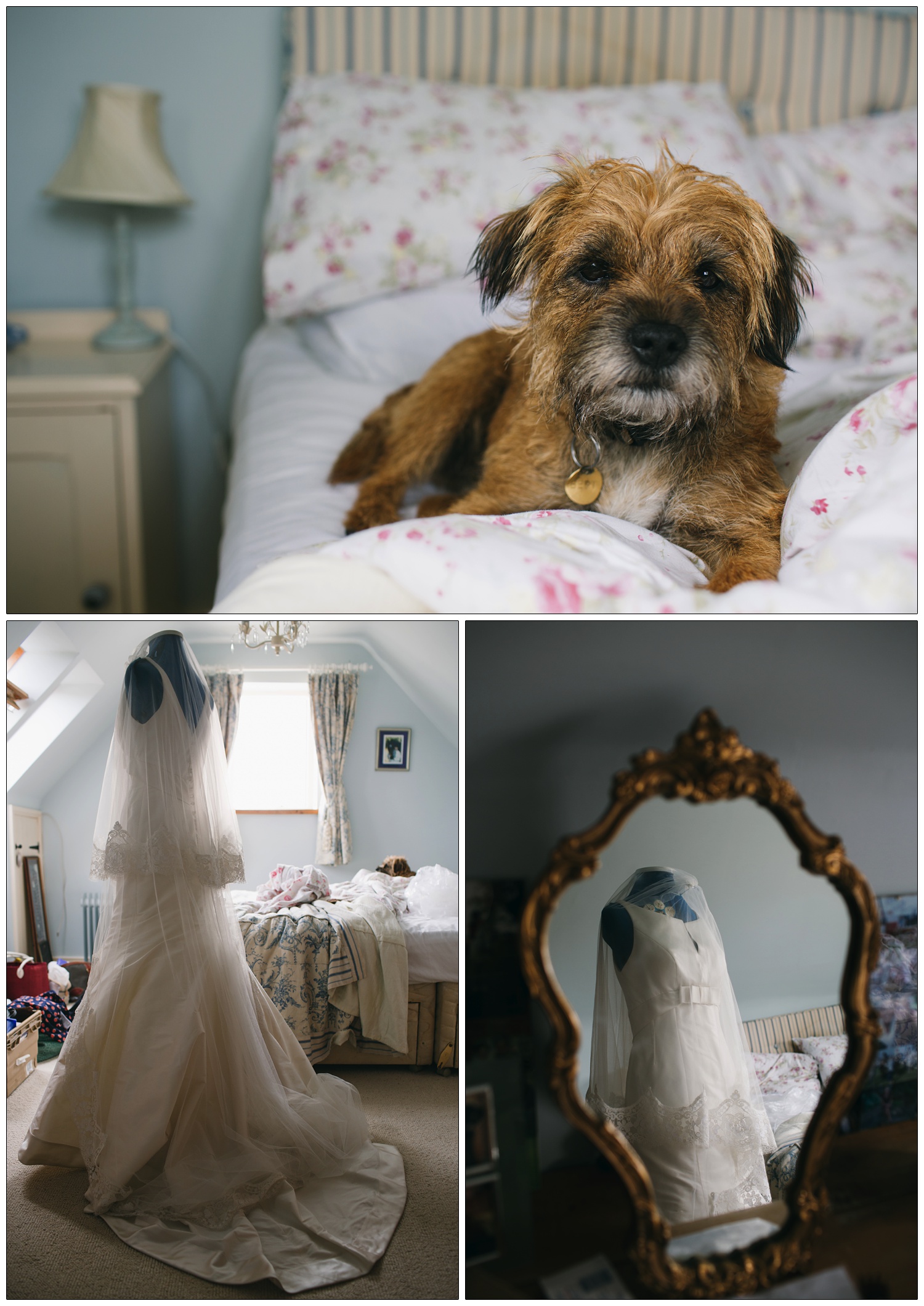 A dog sits on a bed. A wedding dress is on a mannequin, and reflected in the mirror.
