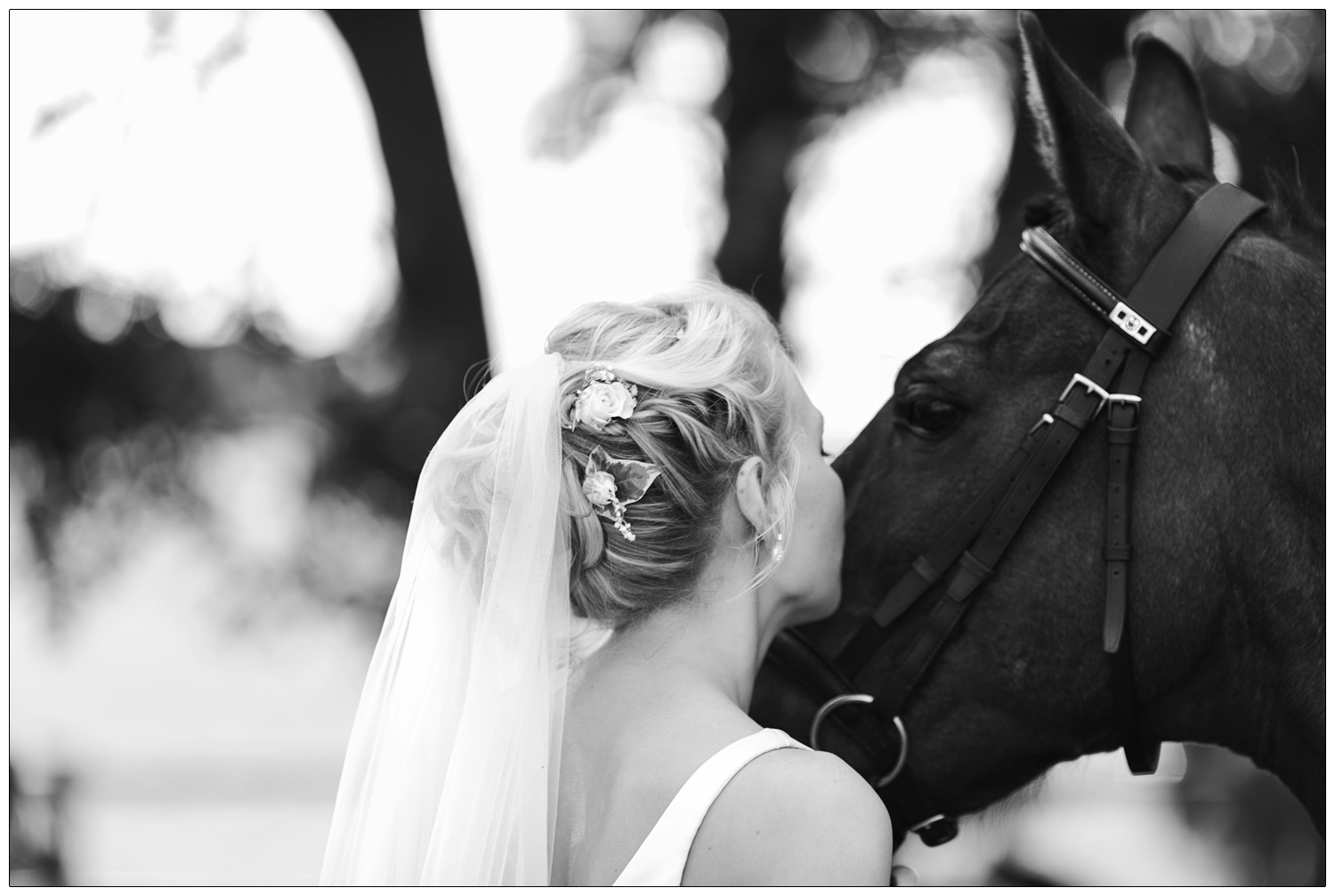 Bride kisses her horse.