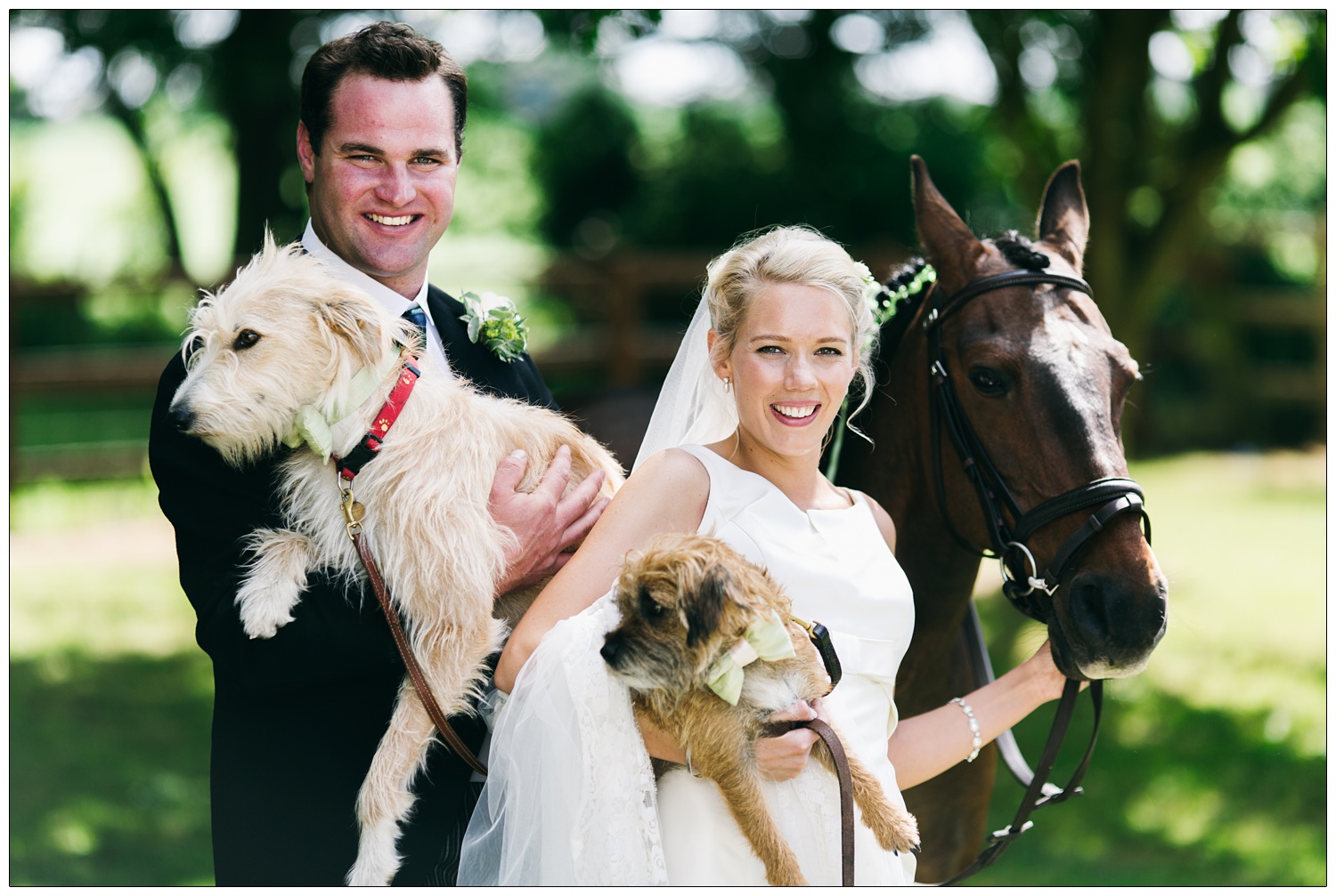 Bride and groom with their dogs and a horse.