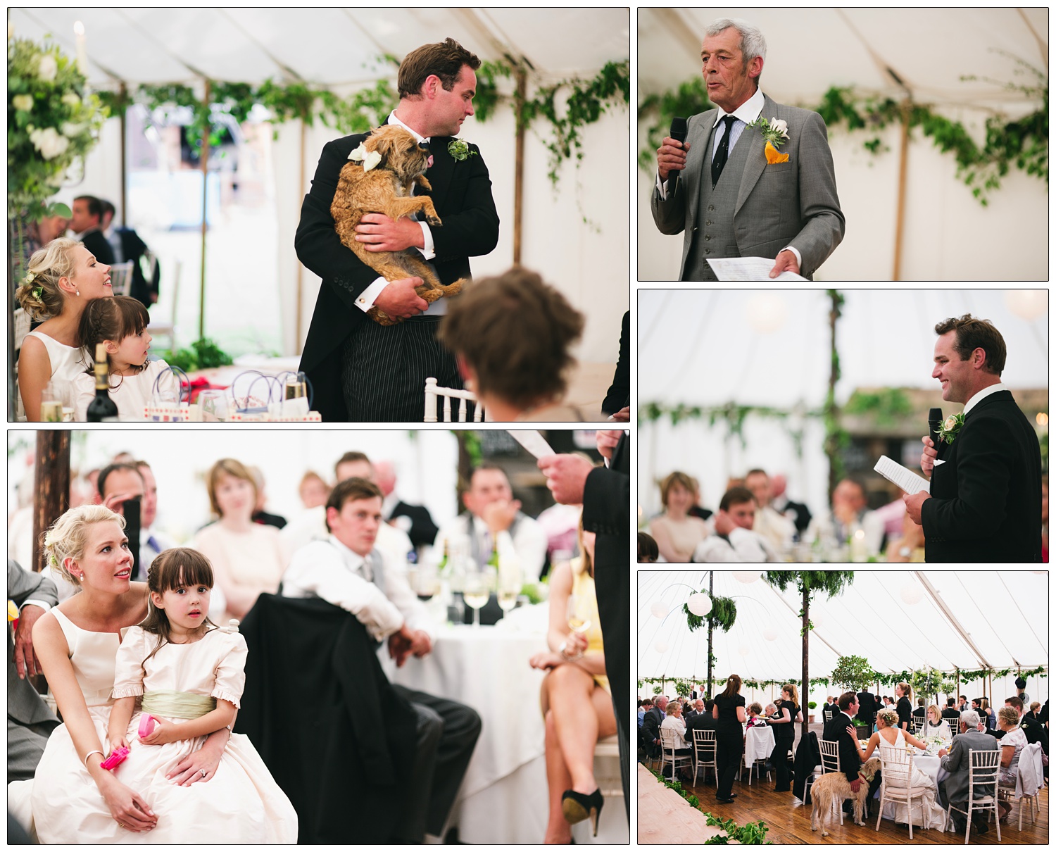 A man at his wedding breakfast holds his dog. Father of the bride is giving a speech. A young girl sits on the bride's lap.