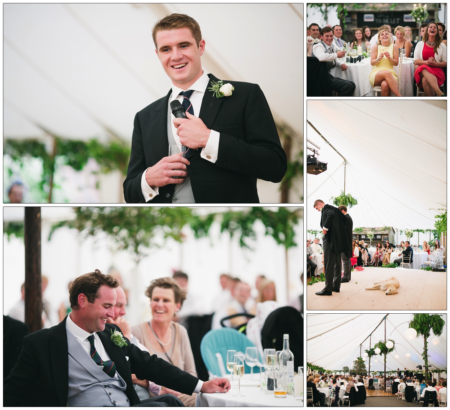 Brother of the groom gives a speech from the stage. The dog is lying down on the stage.