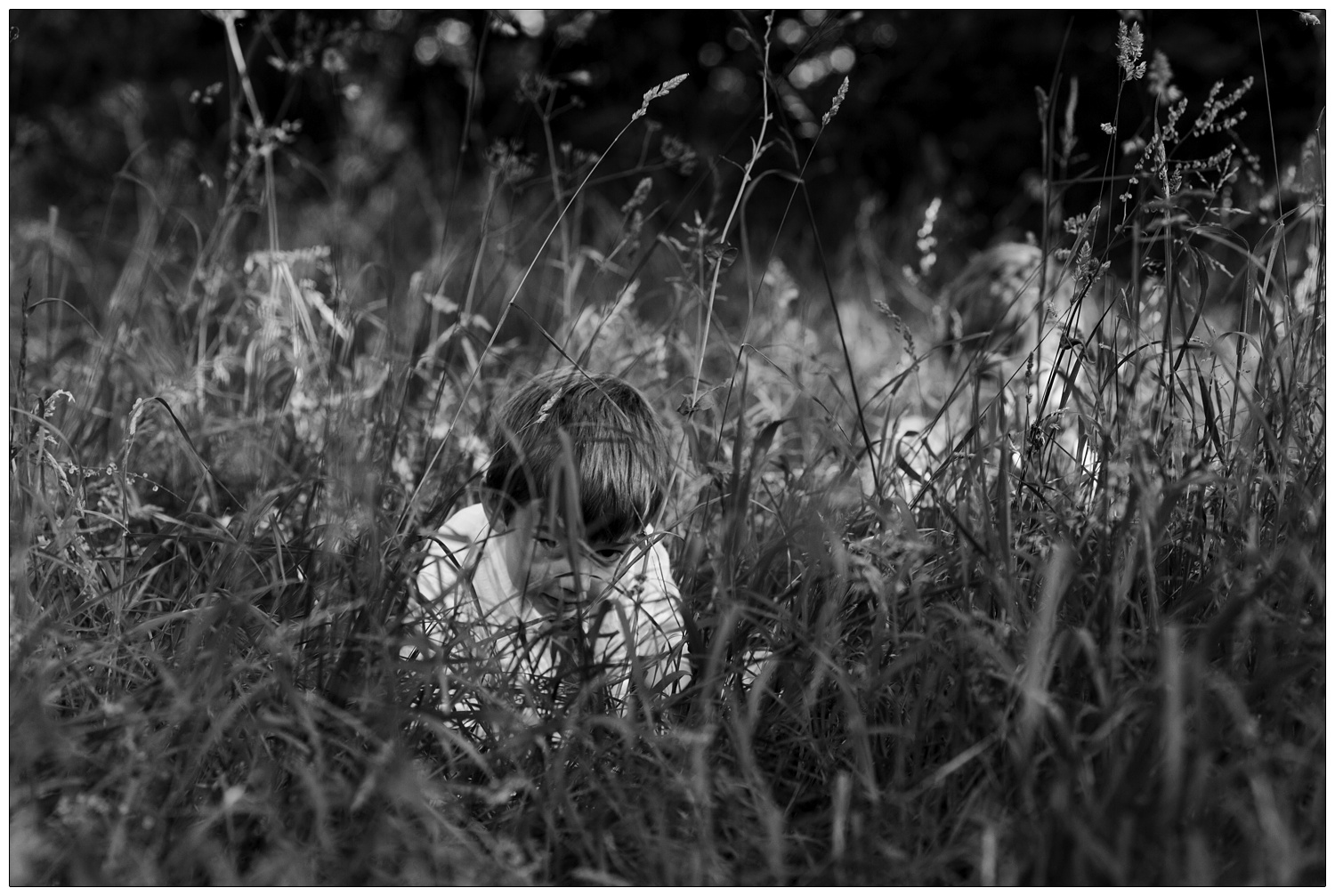 A little boy hiding in the grass.