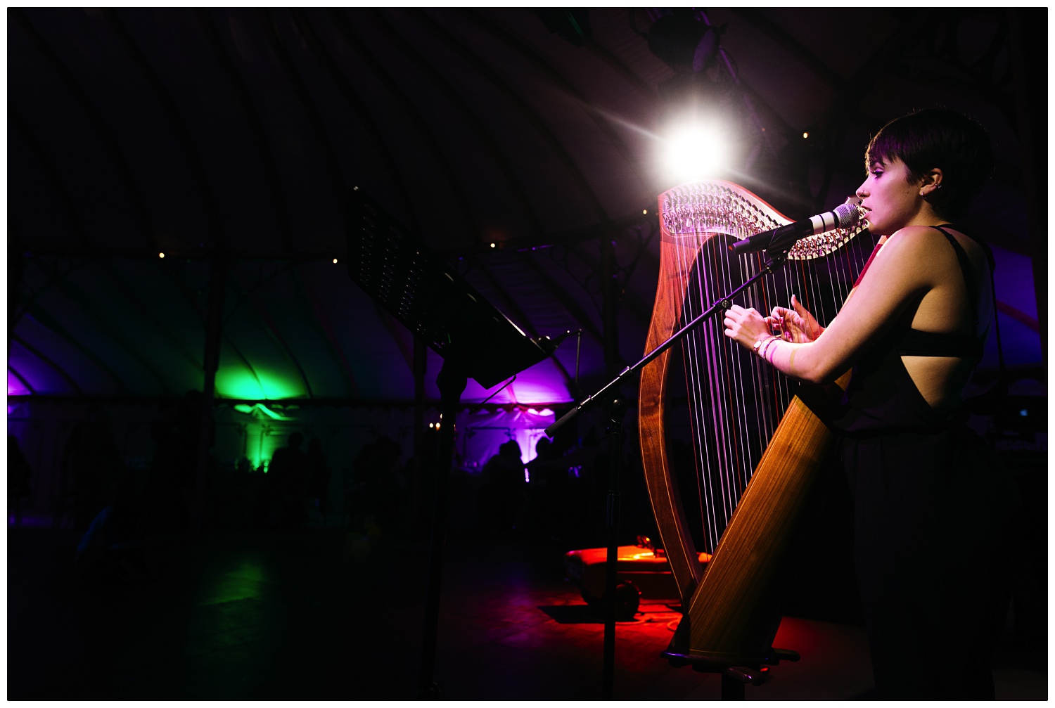 Anna McLuckie plays the harp in an orangery tent at a wedding. It is lit up with red, white, purple and green lights.