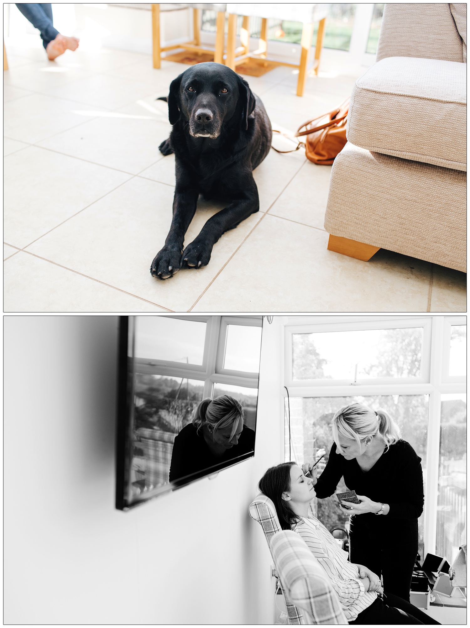A black dog looks at the camera as he lies on the floor next to a sofa