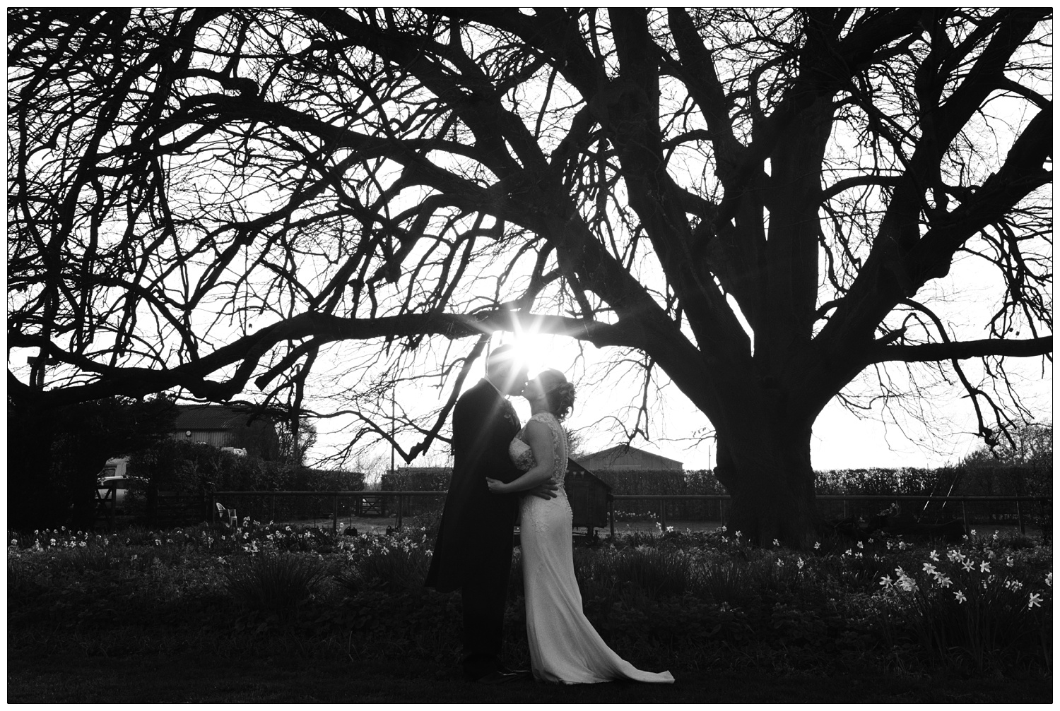 A dark black and white photograph of a couple on their wedding day kissing by a tree and daffodils. There is sunflare.