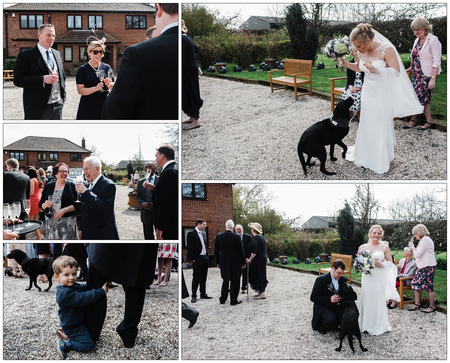 The bride and the labrador.