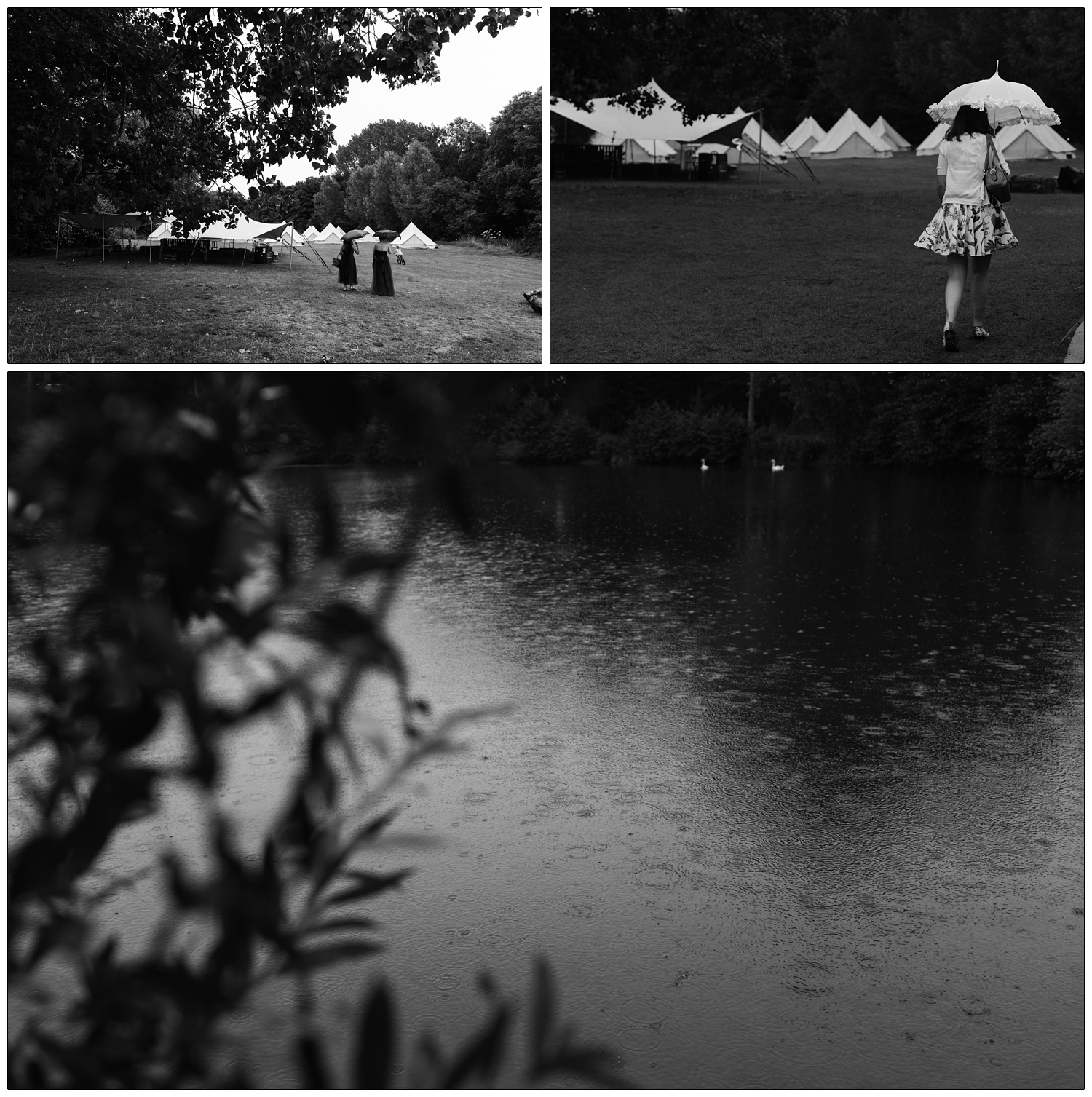 Black and white photographs of rain at a wedding. Picture of the lake and swans.