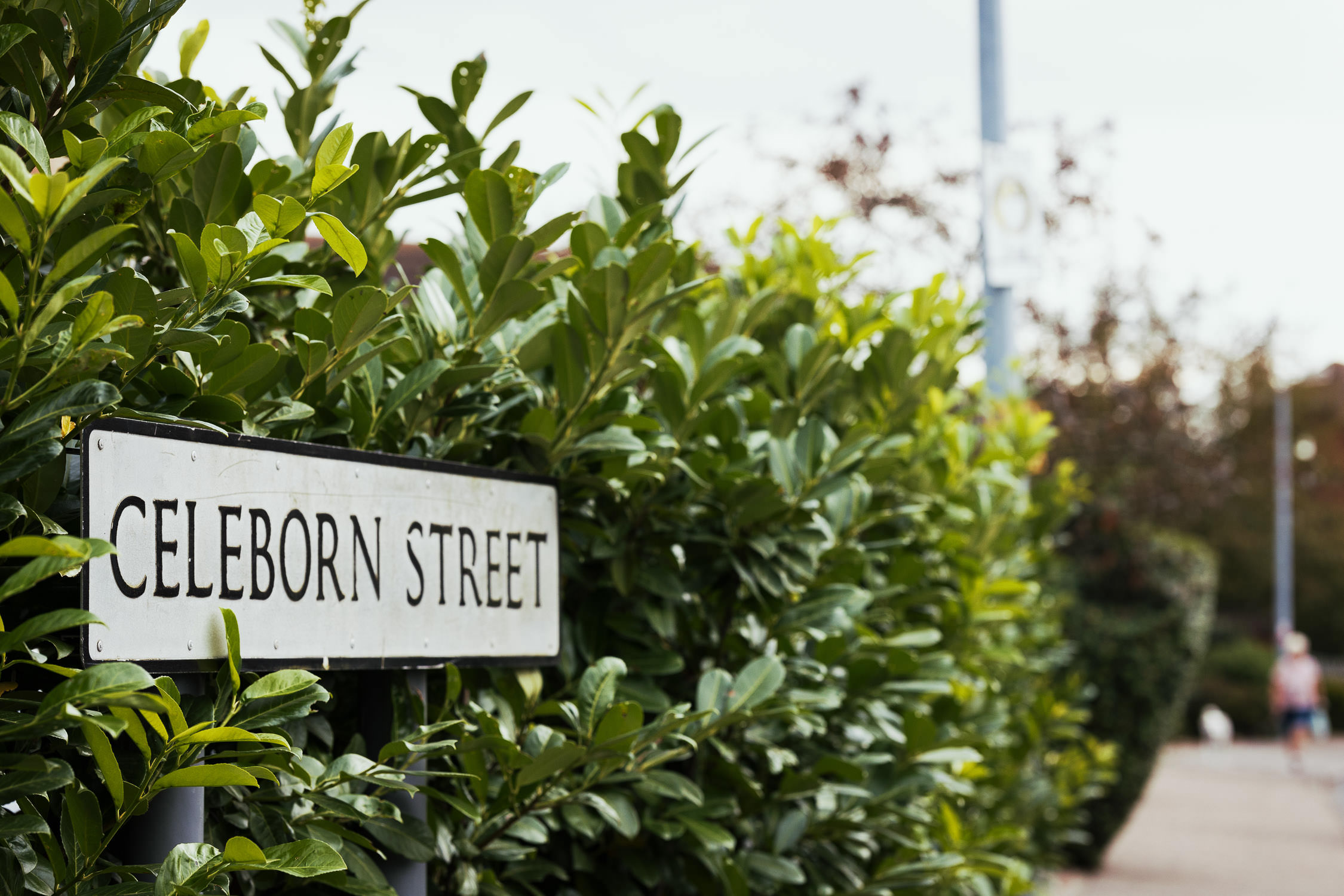 Celeborn Street road sign Tolkien in South Woodham Ferrers in Essex. The sign is in a green bush.