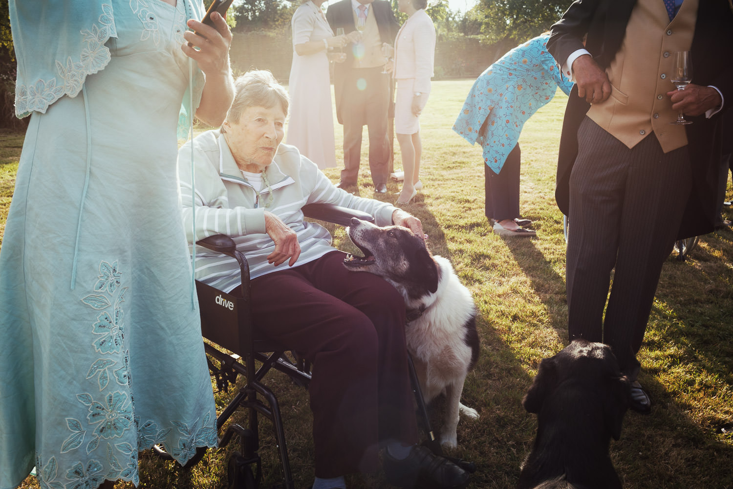 A dog rests it's head on a woman's lap, she is in a wheelchair. People stand around her in the sunshine.