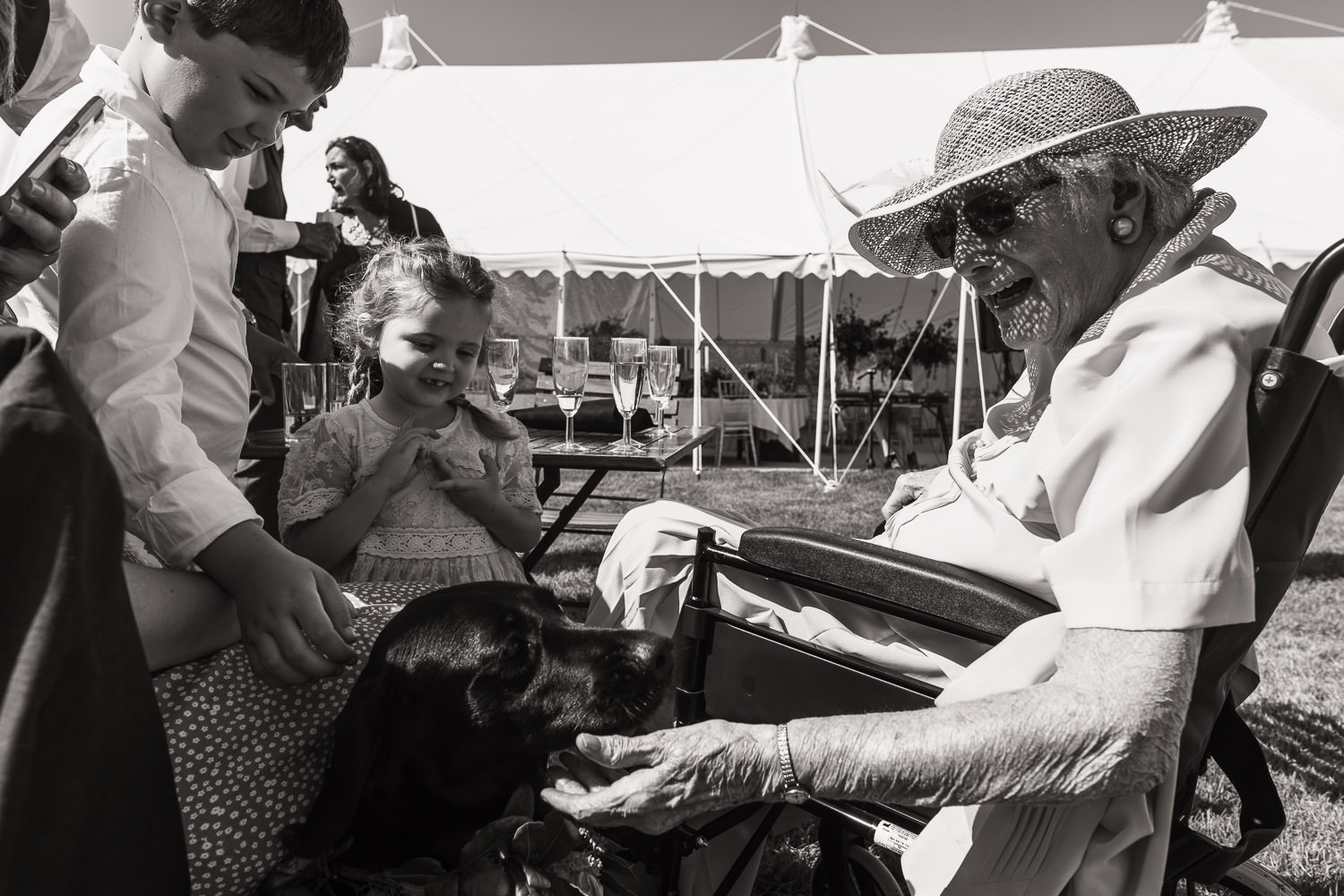 An elderly woman in a wheelchair is stroking a dog while two children join in. There is a marquee behind them at this Essex wedding.
