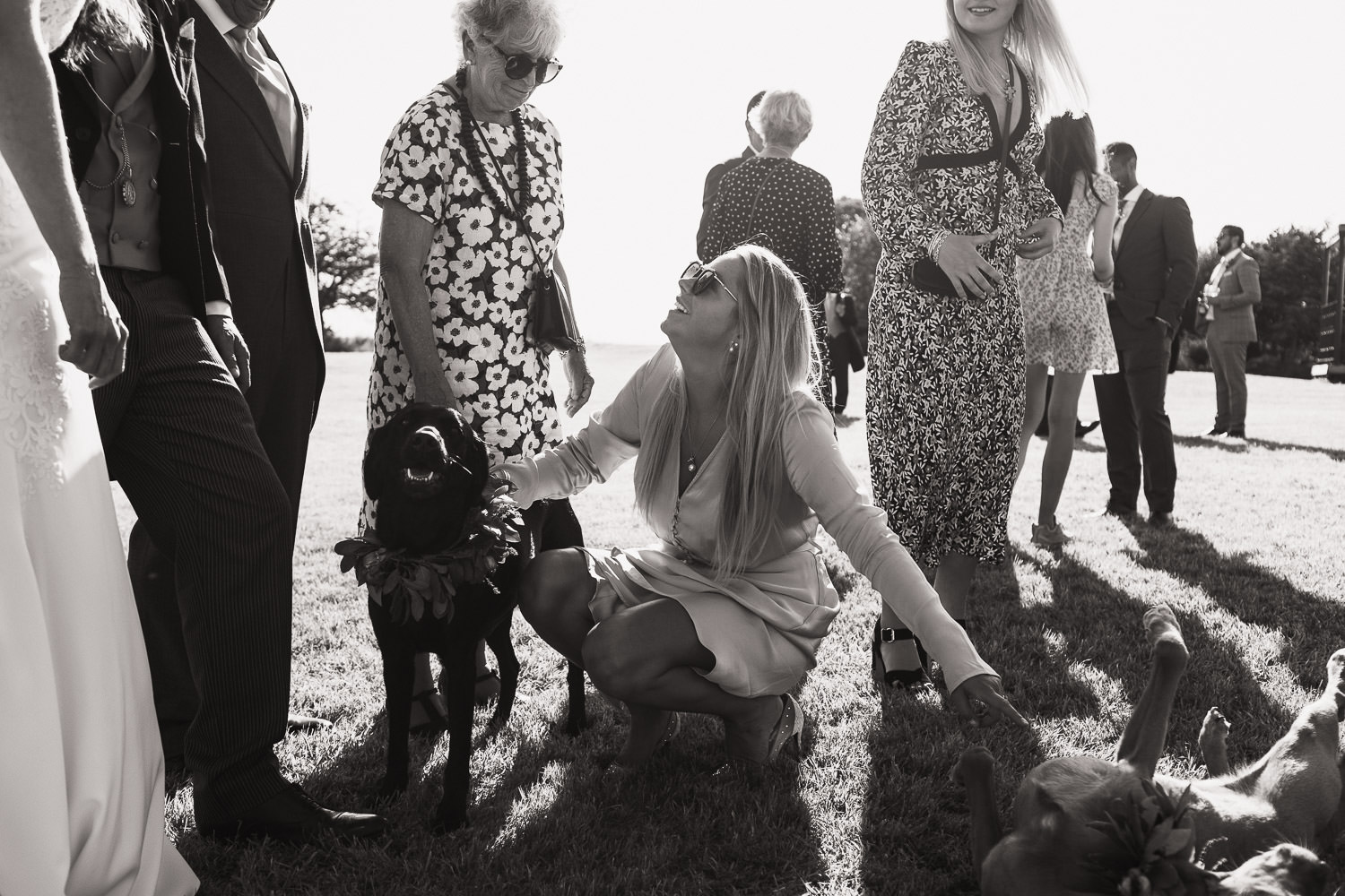 A woman at a wedding crouches down to fuss two dogs. The wedding is in Essex.