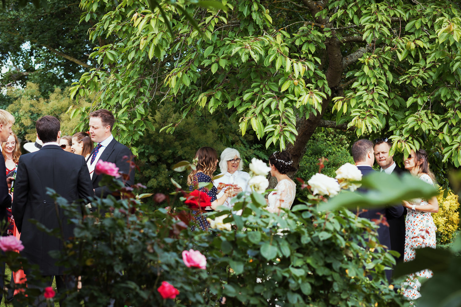 People in a garden at a wedding under the trees.