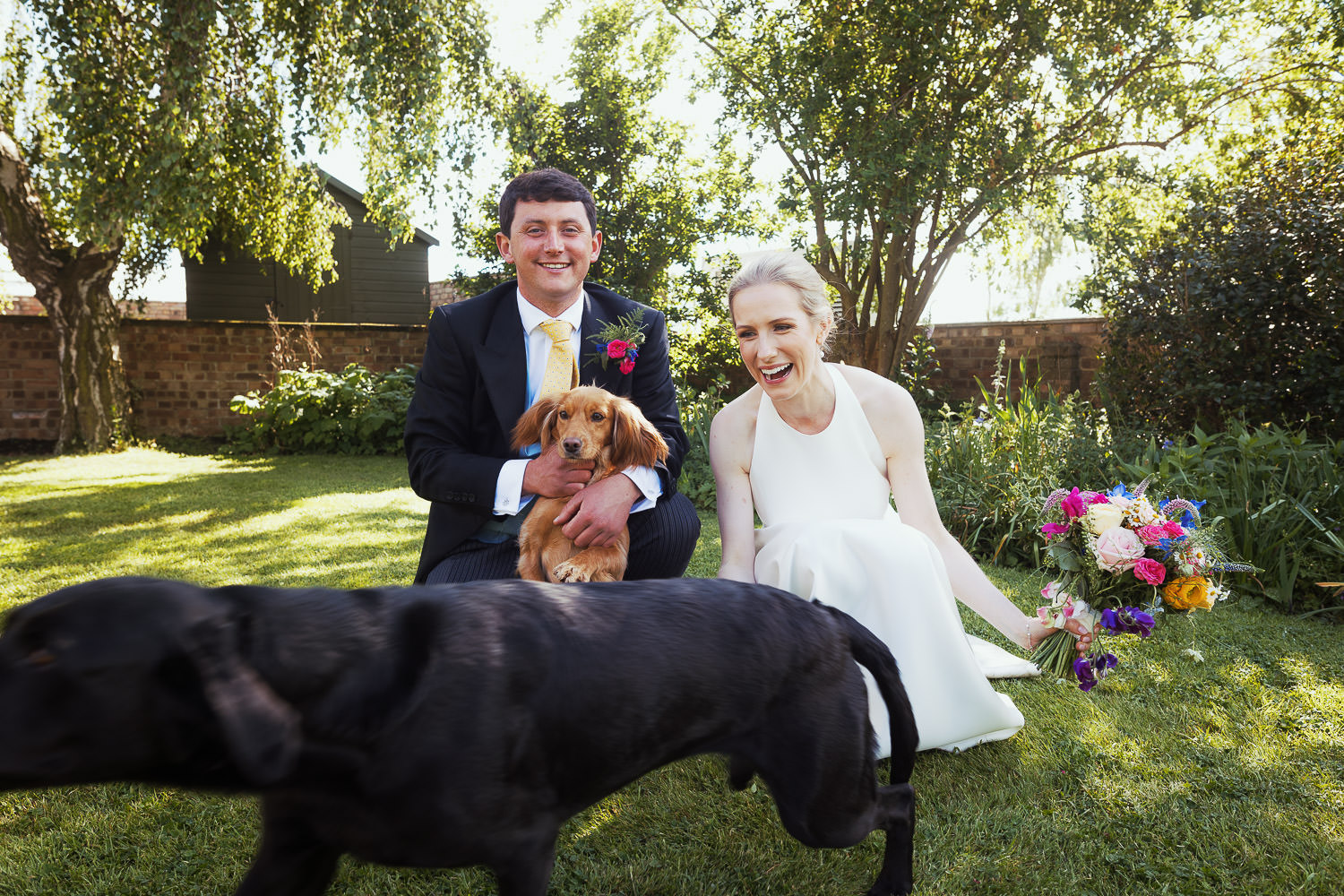 A newly married couple on their wedding day with their dogs at home near Maldon in Essex.