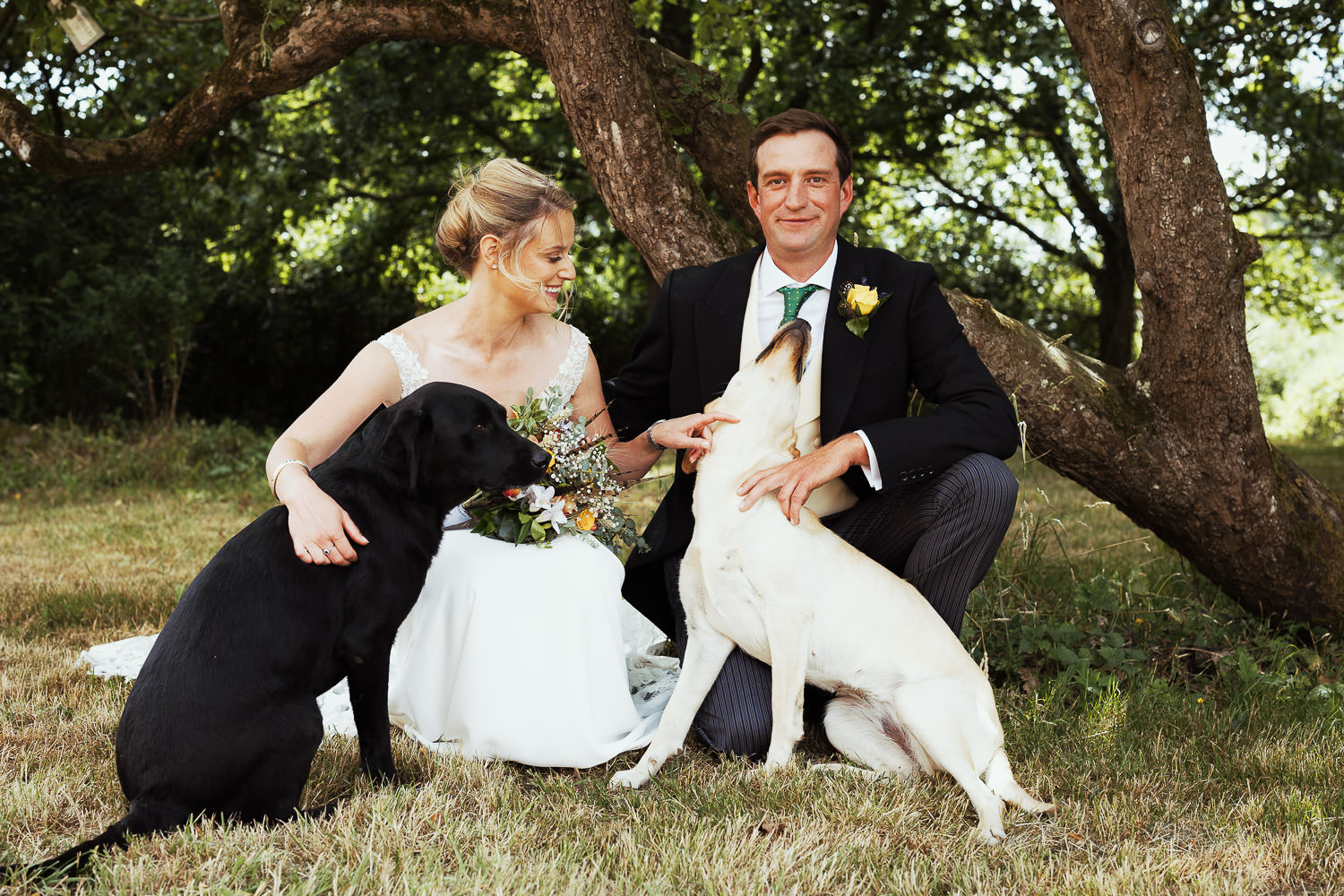 Bride and groom under a tree with their labradors.