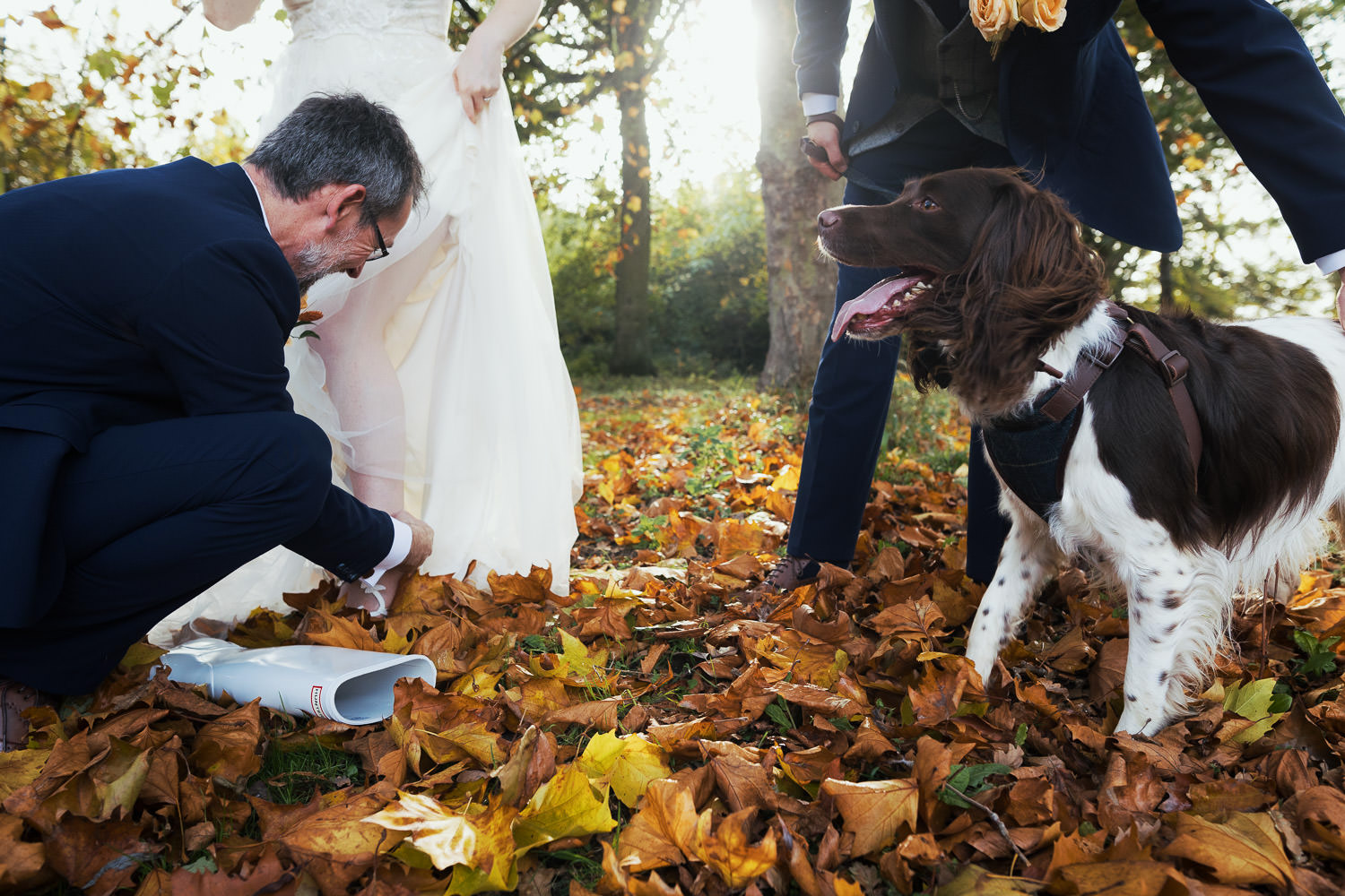 Bride putting on Hunter wellies in autumn leaves, with her dog and husband. At Houchins wedding venue in Essex.