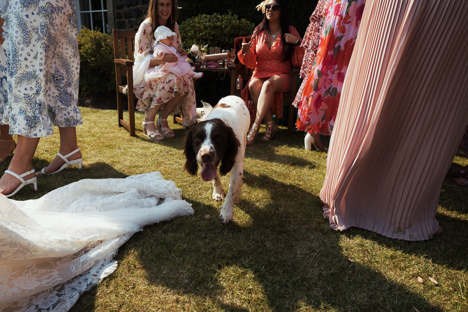 Guests at a garden wedding, women wearing colourful dresses. Two people sitting down, a woman holding her baby and woman wearing a peach and gold wrap dress. A springer spaniel walks towards the camera. Another woman is wearing an & OTHER STORIES Linen Midi Wrap Dress. Documentary style wedding photograph.