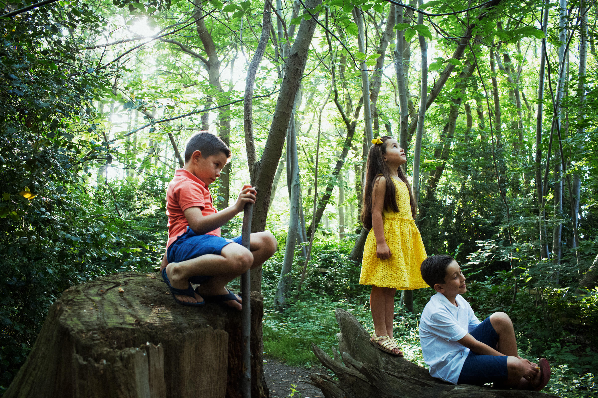 A natural family photoshoot in Norsey Woods, Billericay in Essex. Three children in the woods not looking at the camera. Essex family photography.