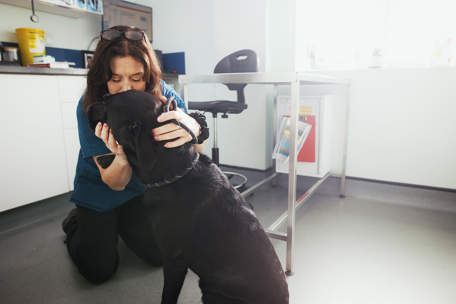 Aisling the vet with a dog at Crouch Vale Vets. 

Crouch Vale Veterinary Practice.
Great Hayes Business Park, Lower Burnham Rd, Stow Maries, Chelmsford CM3 6SQ.