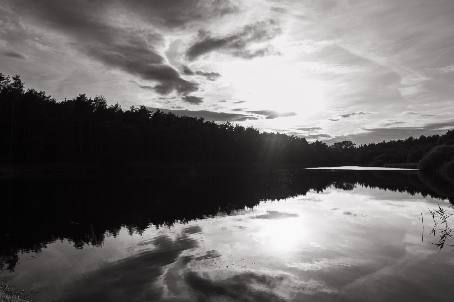 Stourton Water, of the Mermaid River, Cawston in Norfolk, in the summer evening sun.