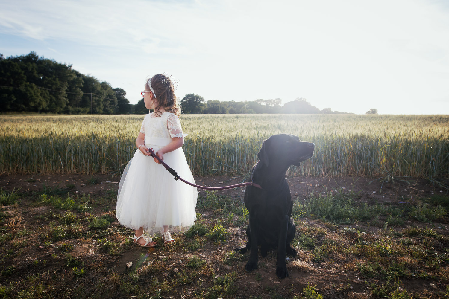 Flower girl in an ivory lace dress from John Lewis (Product Code: 33784401) holding the leash of a black Labrador in a sunny farm field during a Norfolk wedding. Dogs at weddings.