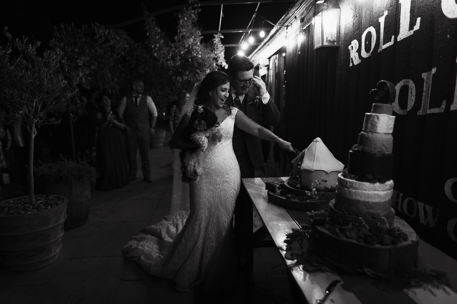 The newly married couple cut the cake and the cake made of cheese at the wedding. The bride is holding their dog at the same time. They are outside The Lodge barn and bar at Preston Court near Canterbury.