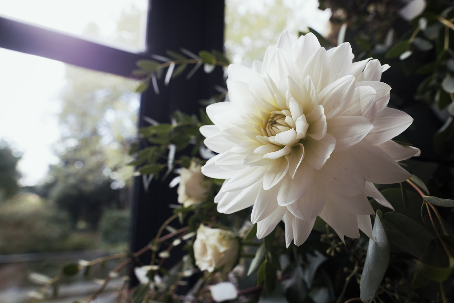 Baddow Park House: A white Dahlia in a display by Stock Florist.