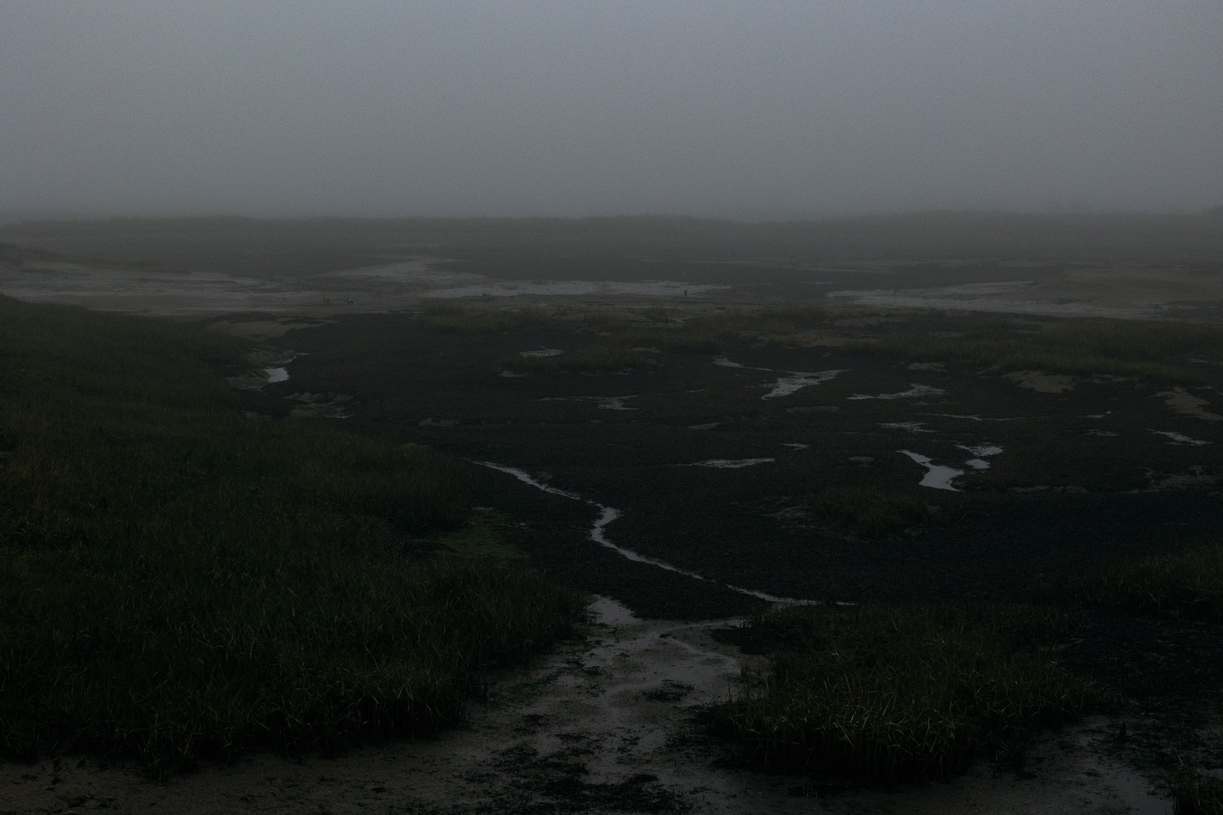 South Woodham Ferrers. A dark, foggy winter scene at low tide in Clements Green Creek, located in Marsh Farm Country Park, a Site of Special Scientific Interest (SSSI).